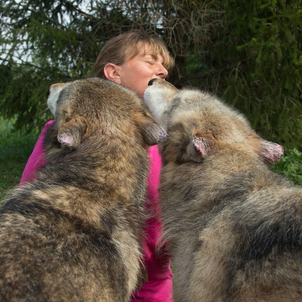 Meet your Posher, Monique